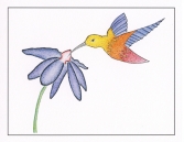 Hummingbird